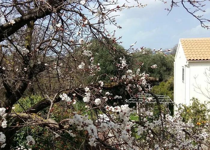 Lodge Margarita's Attic-the Loft