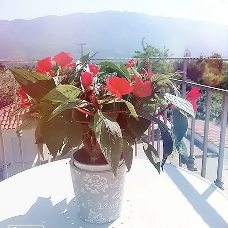 Margarita's Attic-the Loft Lodge Spartia (Kefalonia)